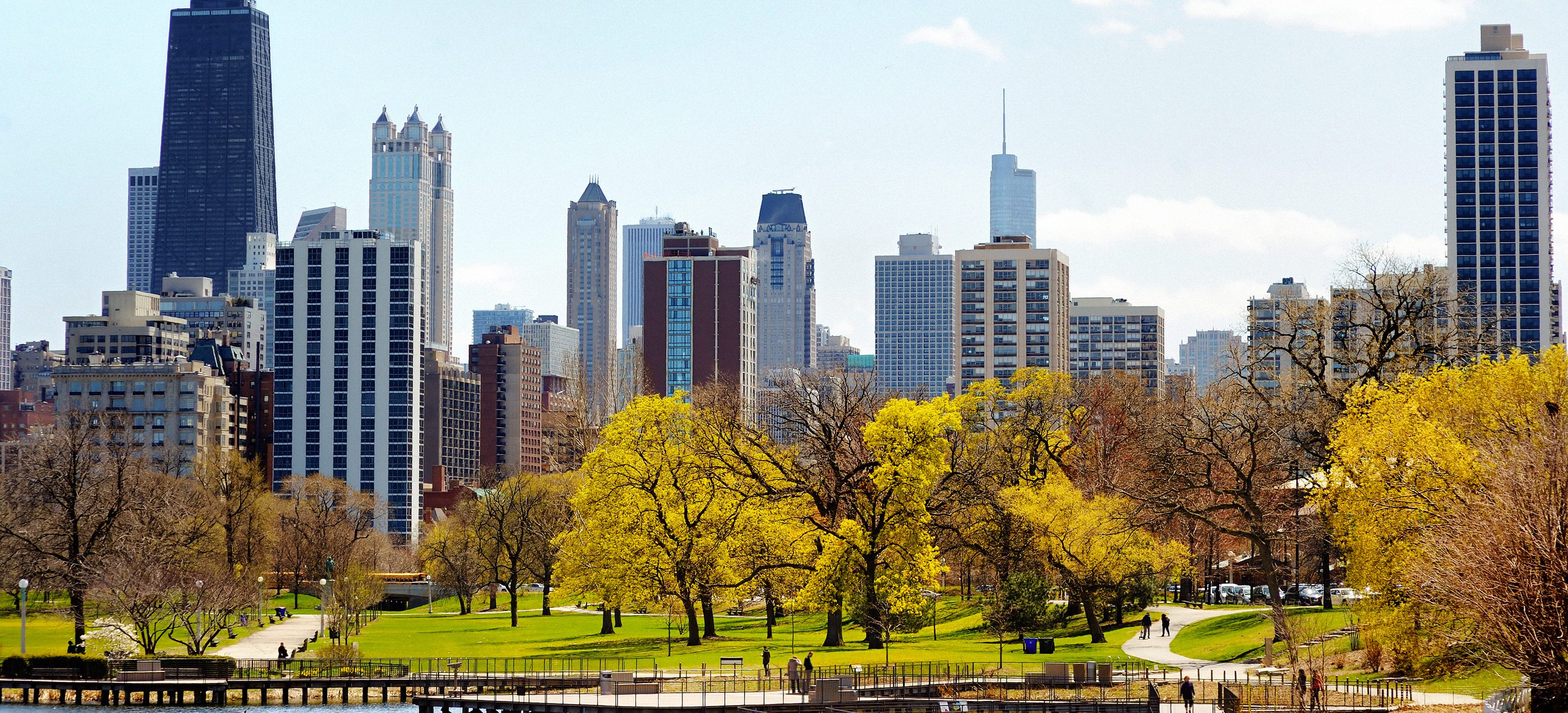 Chicago Skyline BREEAM USA